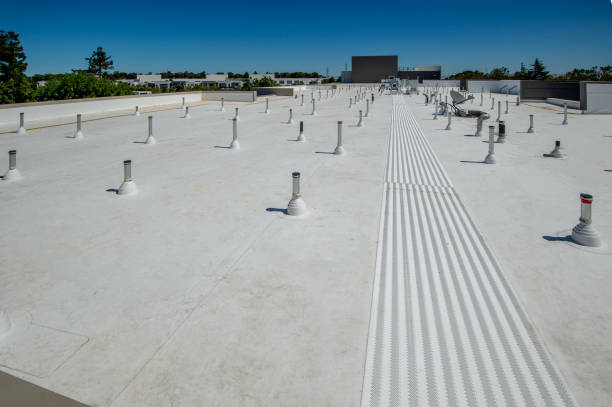 Best Rubber Roofing (EPDM, TPO)  in Litchfield, MI